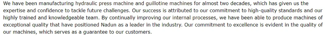 Nadun PRO-Tech Hot-Selling Industrial Hydraulic Press: Advanced Technology and Smooth Operation