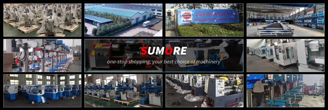 Good Service Sumore Precision Brake 50t Small Gantry Machinery Hydraulic Press Machine