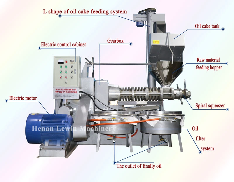 Screw Automatic Oil Extraction Cold Soybean Peanut Sunflower Coconut Castor Cotton Seed Oil Making Machine Oil Press Machine