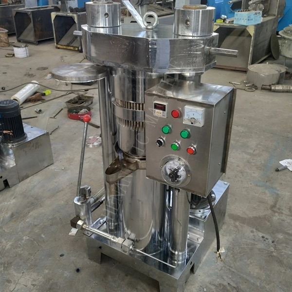 Full automatic sunflower seeds groundnut palm avocado peanut almond pine nuts cold oil making processing production machine coconut sesame hydraulic oil press