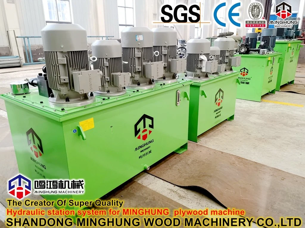 Hydraulic Woodworking Veneer Plywood Hot Press Machine with Automatic Loader and Unloader