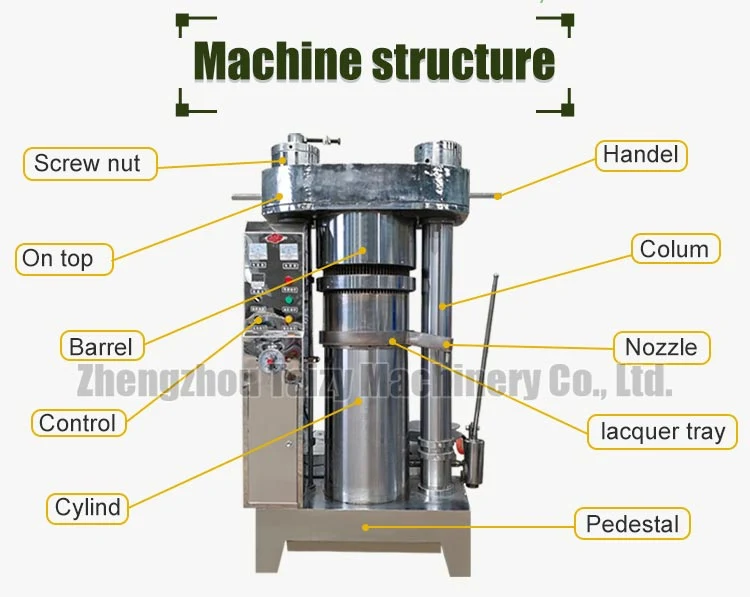 Hydraulic Tea Seads Oil Press Machine Industrial Rape Seeds Oil Pressing Machine