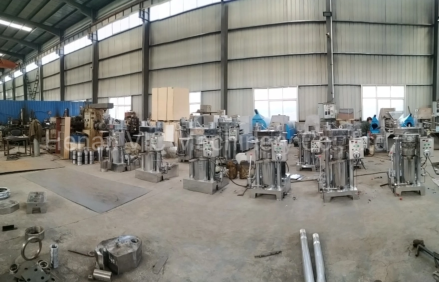 Full automatic sunflower seeds groundnut palm avocado peanut almond pine nuts cold oil making processing production machine coconut sesame hydraulic oil press