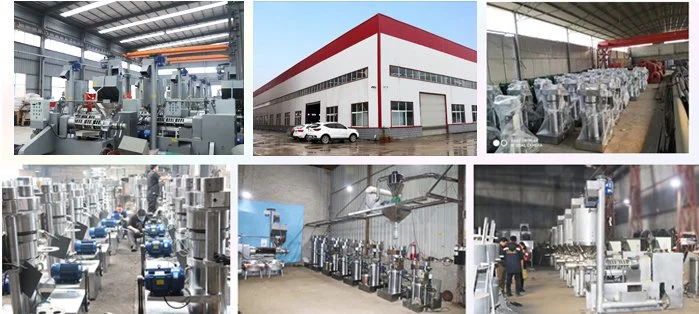 Screw Automatic Oil Extraction Cold Soybean Peanut Sunflower Coconut Castor Cotton Seed Oil Making Machine Oil Press Machine