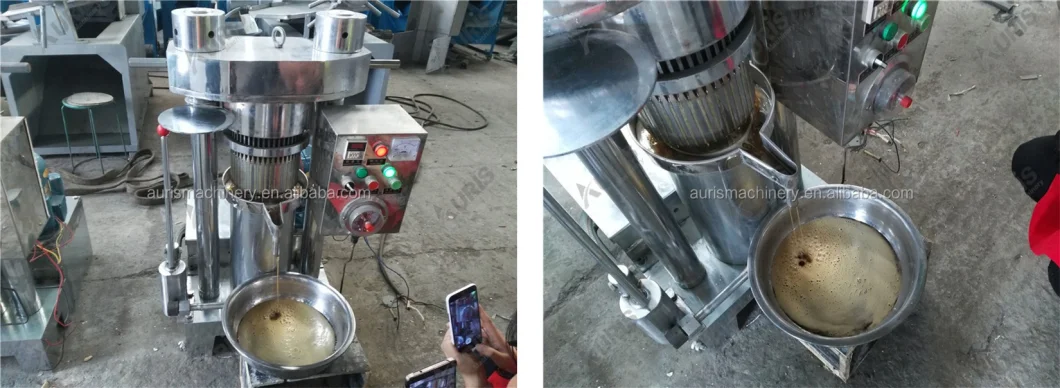 Hydraulic Olive/Sesame/Peanut/Coconut Oil Press Machine for Sale