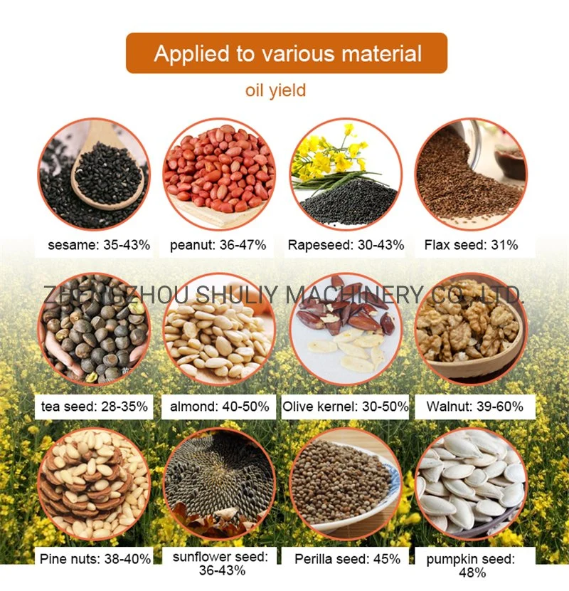 Hydraulic Tea Seads Oil Press Machine Industrial Rape Seeds Oil Pressing Machine