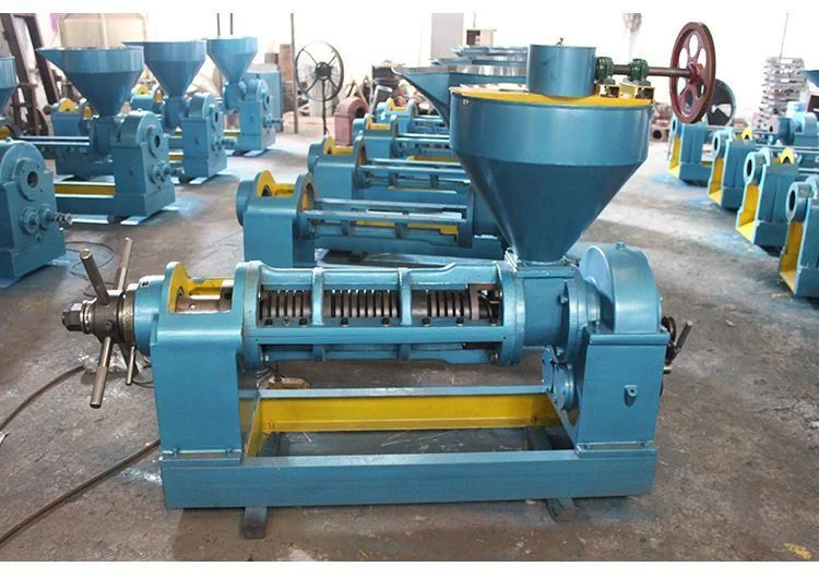 40kg Cocoa Pumpkin Extraction Hydraulic Cold Mini Oil Extractor Oil Press Machine