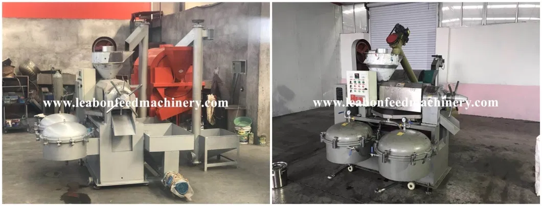 100-200kg/Hour Soybean Oil Press Machine Price Hot Press Castor Oil Hydraulic Mini Oil Press Machine in Homely