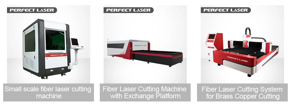Perfect Laser-1kw 2kw 3kw 500W 1000W 1500W 2000W 3000 Watts Metal Sheet Round Tube Square Pipe Ipg Raycus/Max Rotary CNC Fiber Laser Cutting Machines Price