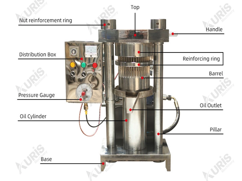 High Oil Recovery Vertical Hydraulic Sesame Walnut Tea Seed Sunflower Seed Oil Extruding Pressing Expeller Making Equipment