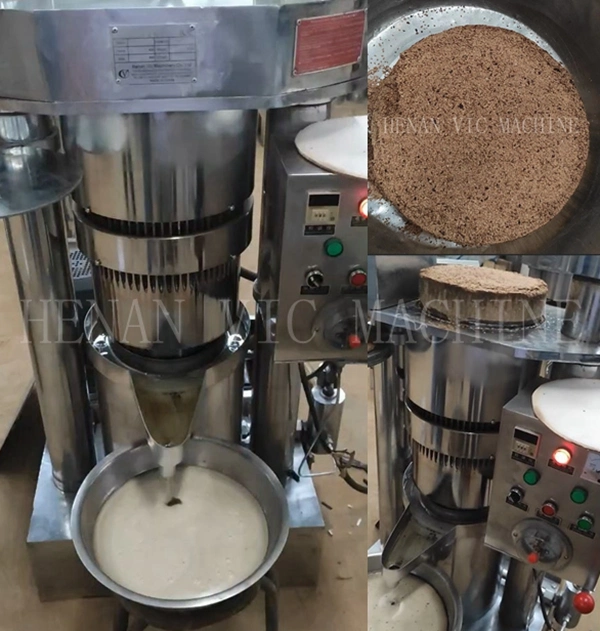 Full automatic sunflower seeds groundnut palm avocado peanut almond pine nuts cold oil making processing production machine coconut sesame hydraulic oil press