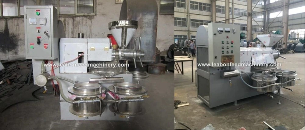 Hydraulic Mini Sunflower Oil Pressing Machine Manual CE Approved Cold and Hot Oil Screw Seed Press Machine