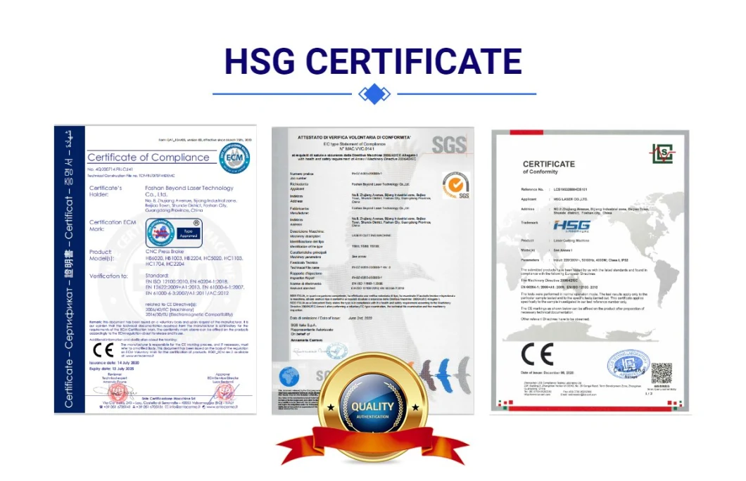 Hsg Laser 1500W CNC Fiber Laser Cutter for Metal Sheet Plate Raycus/Ipg Price