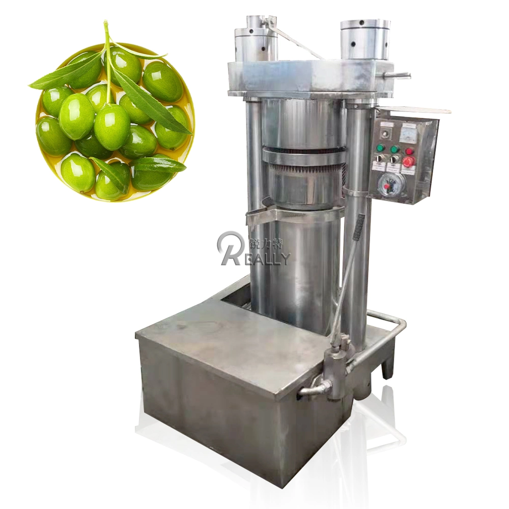 Hydraulic Cold Oil Press Machine Nuts Oil Pressing Industrial Oil Extractor Sunflower Seeds Coconut Oil Expeller Extraction