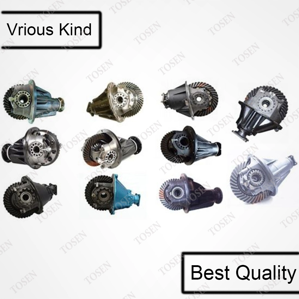 Differential for Toyota Small Hiace Small Hilux Car Spare Parts Car Accessories 10X39 30t 29t