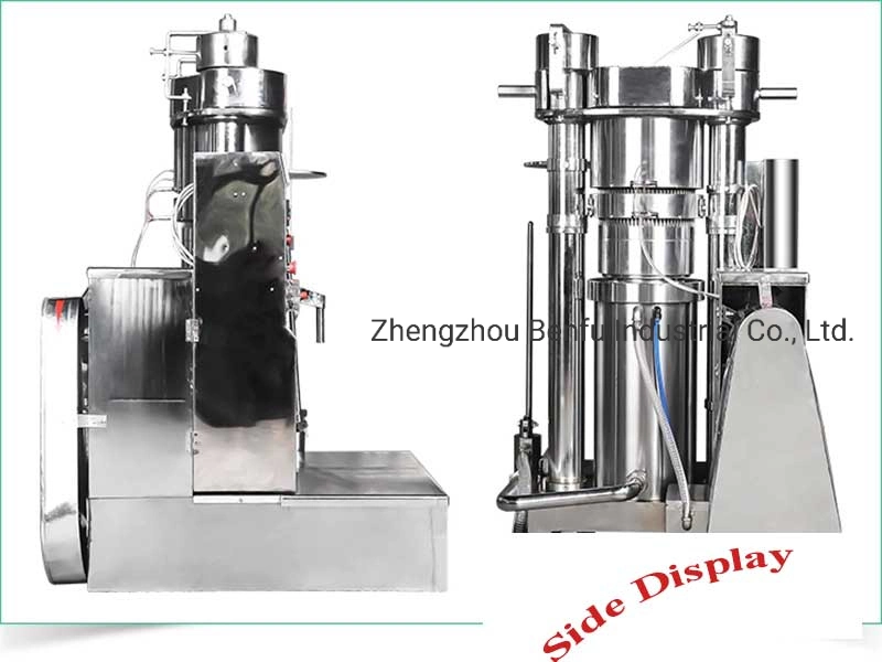 100kg 45kg 20 Kg Cocoa Olive Pumpkin Extraction Hydraulic Cold Mini Oil Press Machine