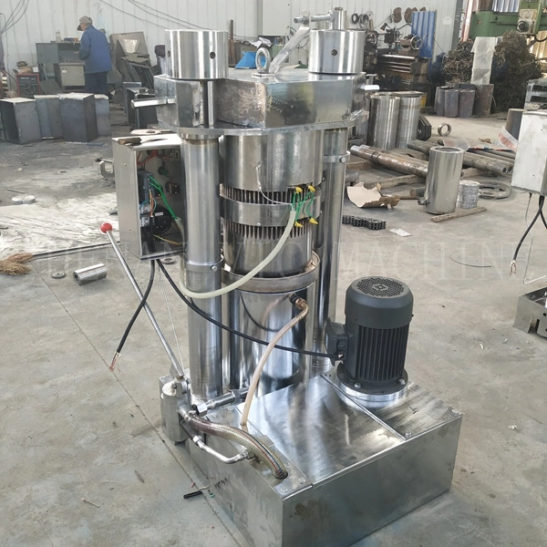 Full automatic sunflower seeds groundnut palm avocado peanut almond pine nuts cold oil making processing production machine coconut sesame hydraulic oil press