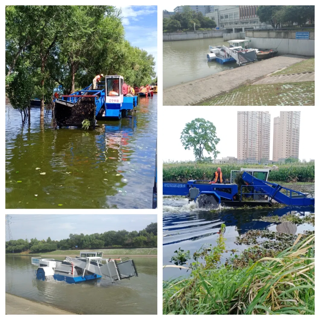 Water Hyacinth Reed Cutting Harvesting Automaticlly in Lake/River