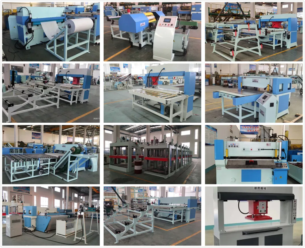 Auotmatic Feeding CNC Hydraulic Plane Leather Press Machine