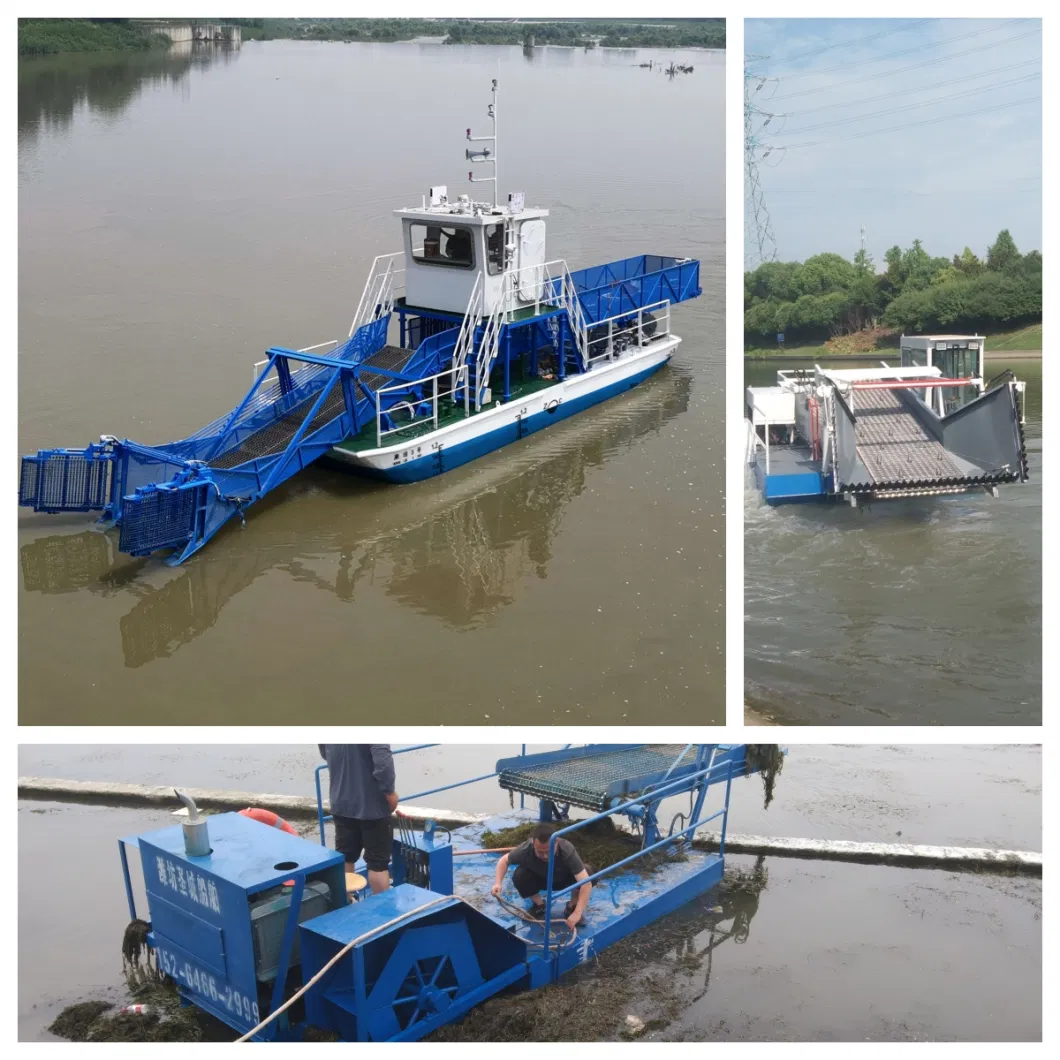 Agricultural Weed Harvester Water Hyacinth Reed Cutting Harvesting in Pond Mowing