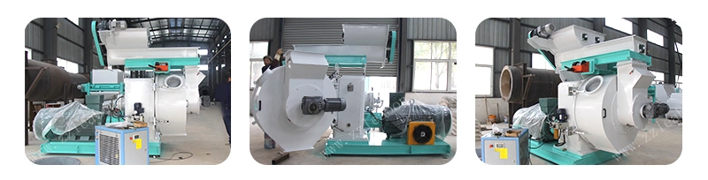 CE 1000-1500kg/H Woodworking Biomass Pine Oak Beech Wood Sawdust Pellet Press Production Line Manufacturer Making Machine Mill Price