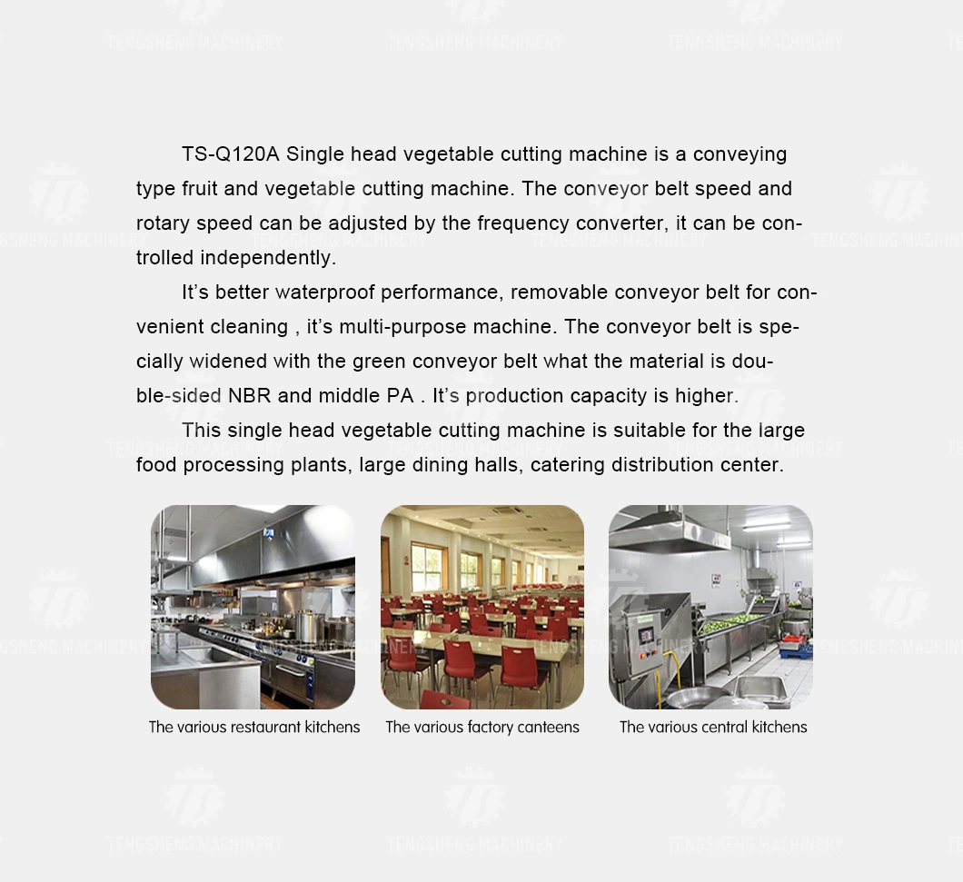 Extra-Wide Leaf Vegetable Chopping Machine with Large Yield and High Speed Cutting Vegetables