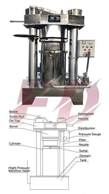 Large Hydraulic Oil Press Equipment for Pressing Corn, Peanut, Rapeseed, and Sesame