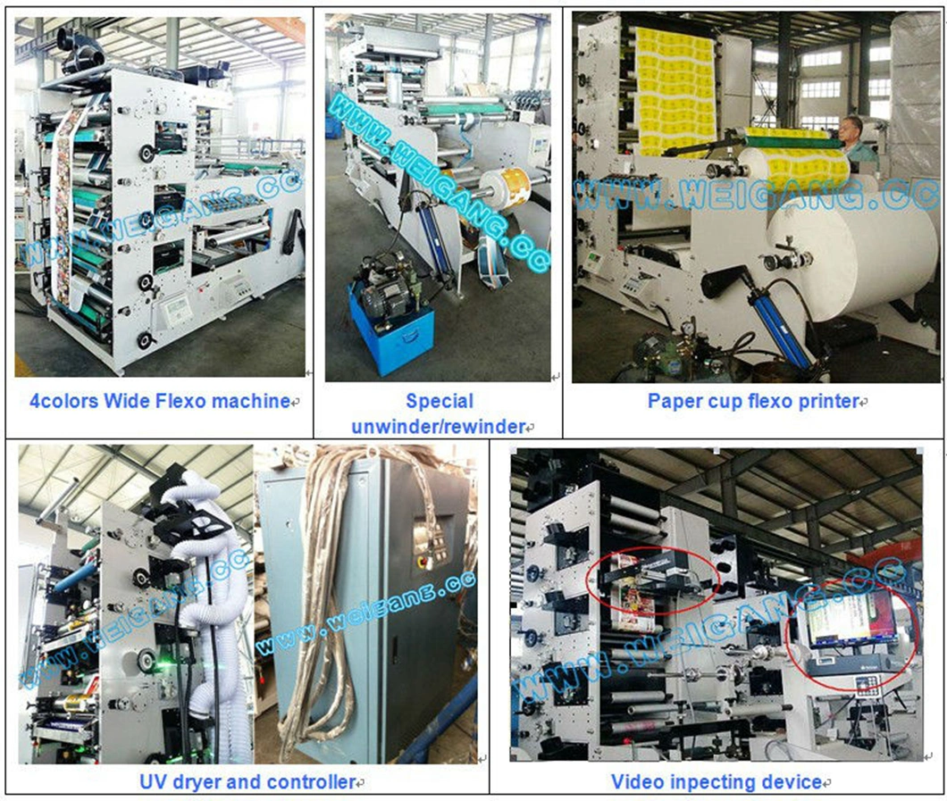 Narrow Web Flexographic Sticker Printing Machine with Die Cutting and Sheeting