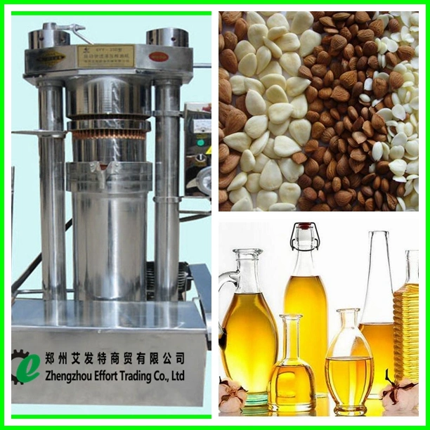 Easy Operation Stainless Steel Hydraulic Cold Oil Press for Sesame/Walnuts/Pine Nuts