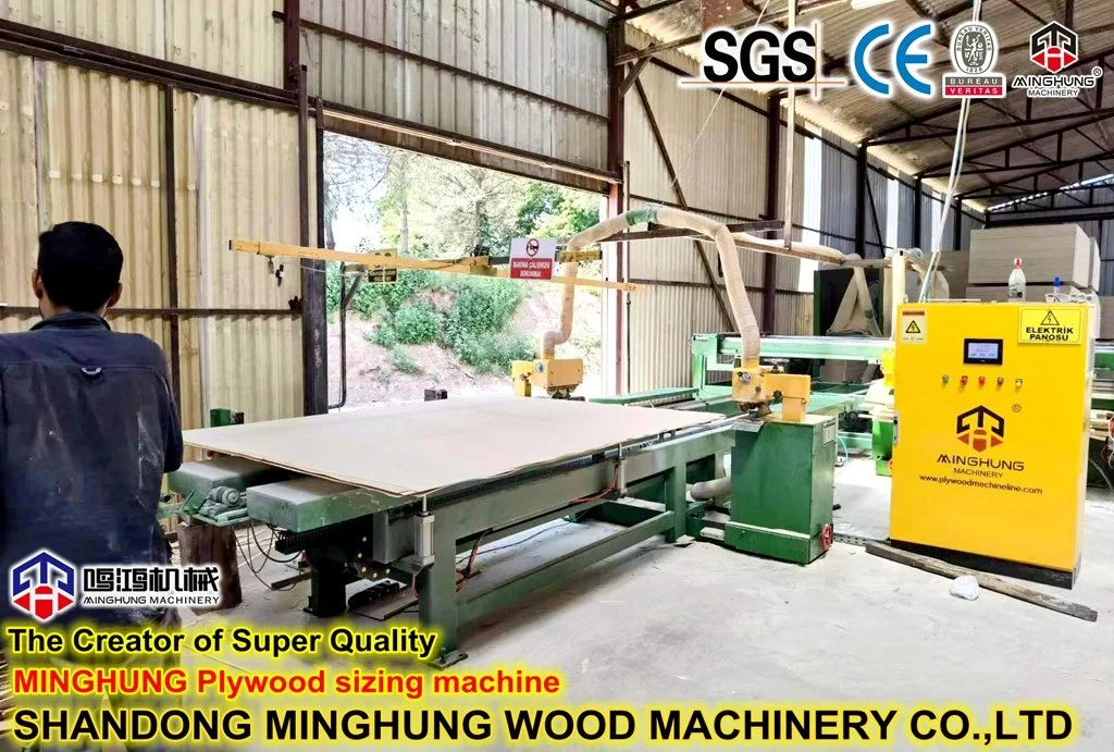 12 Daylight 600ton Hydraulic Hot Press for Plywood Production Line