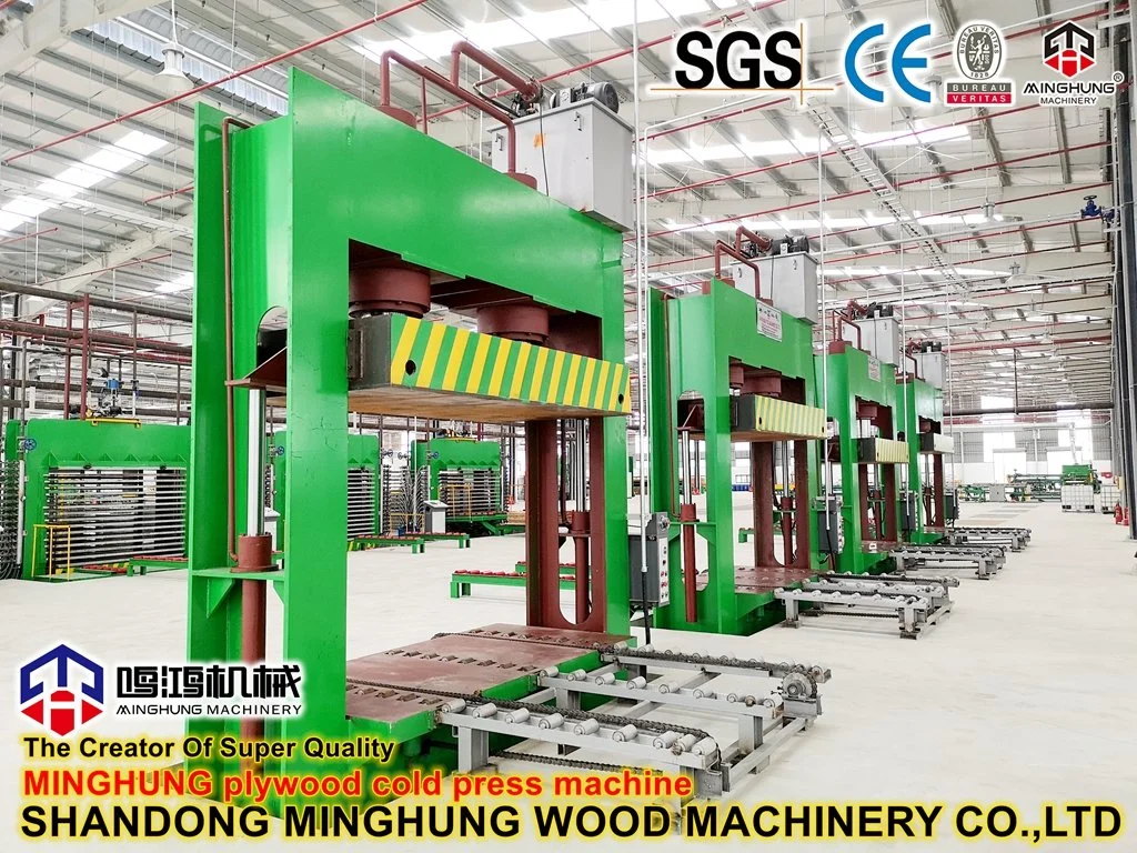 12 Daylight 600ton Hydraulic Hot Press for Plywood Production Line