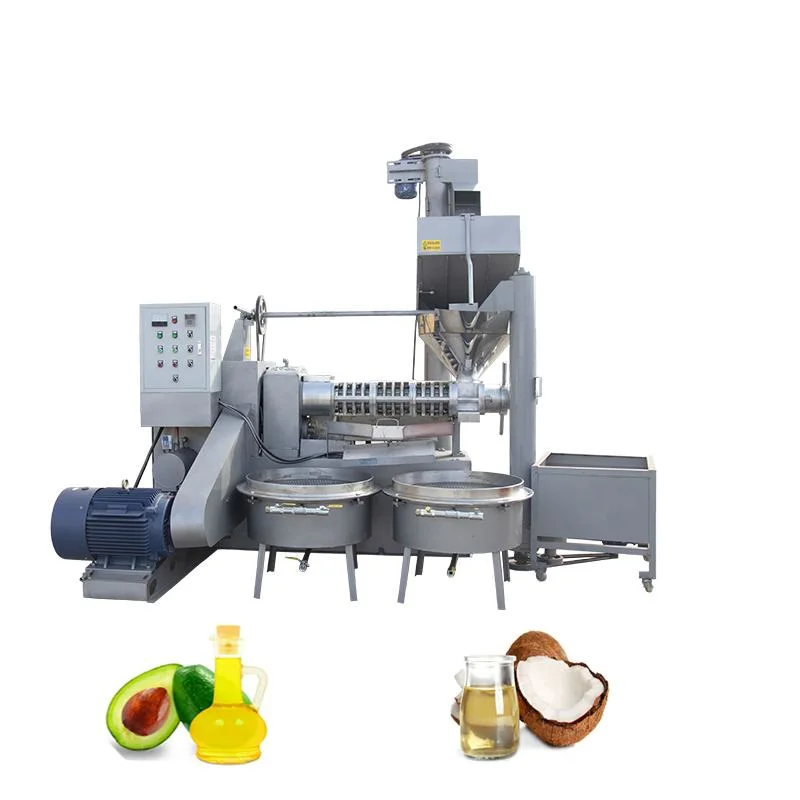 Screw Automatic Oil Extraction Cold Soybean Peanut Sunflower Coconut Castor Cotton Seed Oil Making Machine Oil Press Machine