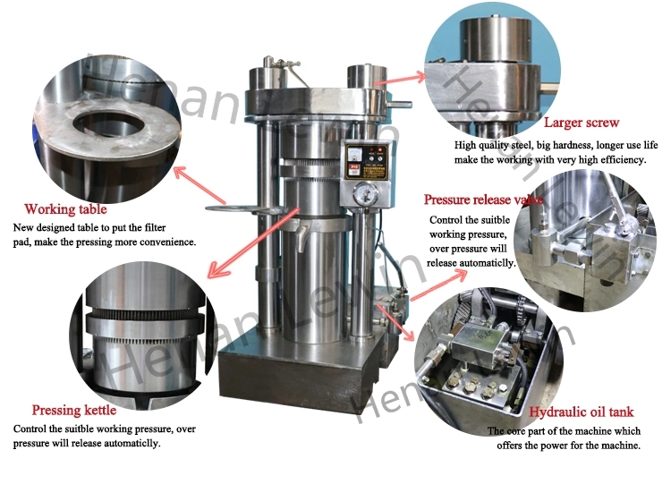 Simple Operation Hydraulic Oil Press Machine Cocoa Walnut Oil Making Machine