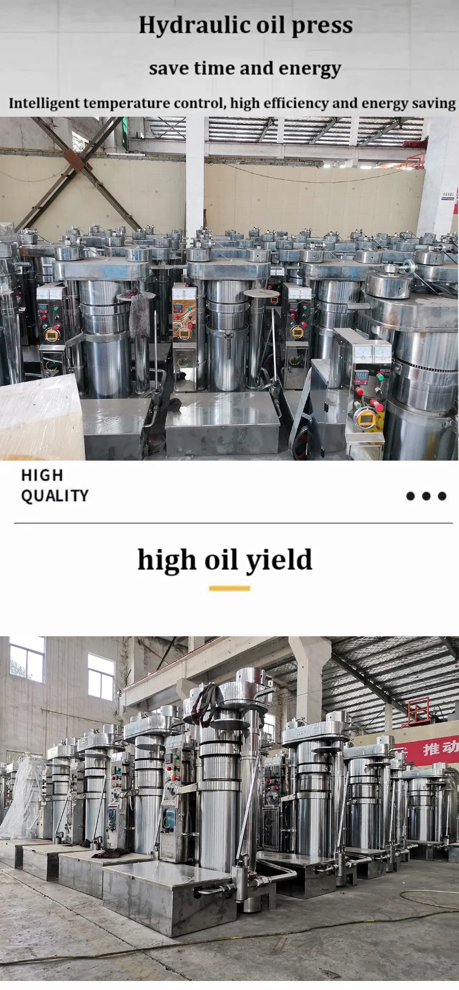 Advanced Design Cold Soybean/Sunflower Seeds Cleaning Hydraulic Oil Press with Easy Operation