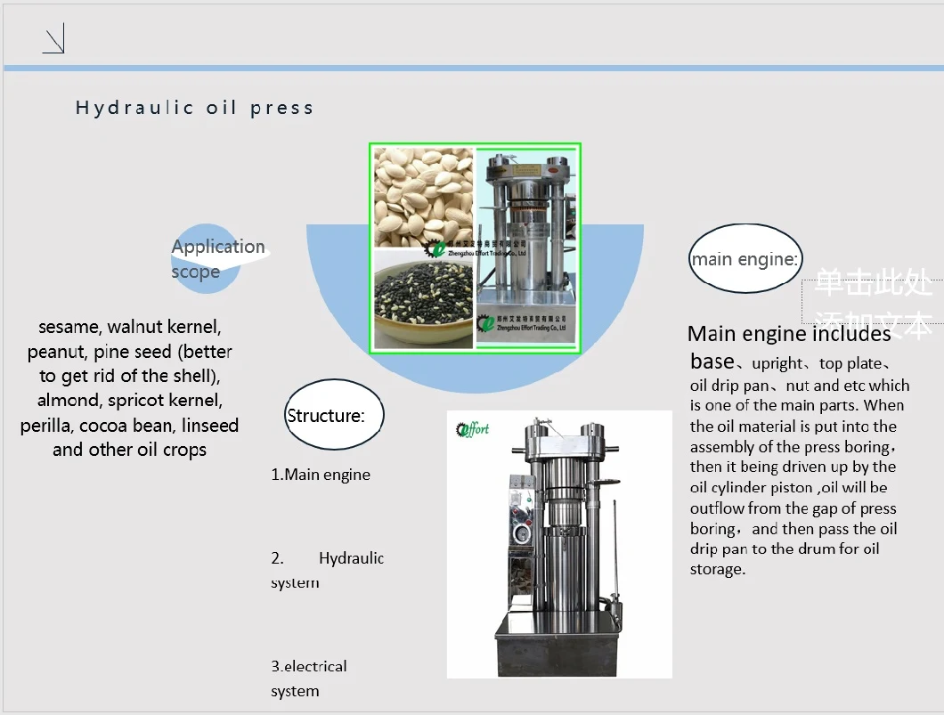 Easy Operation Stainless Steel Hydraulic Cold Oil Press for Sesame/Walnuts/Pine Nuts