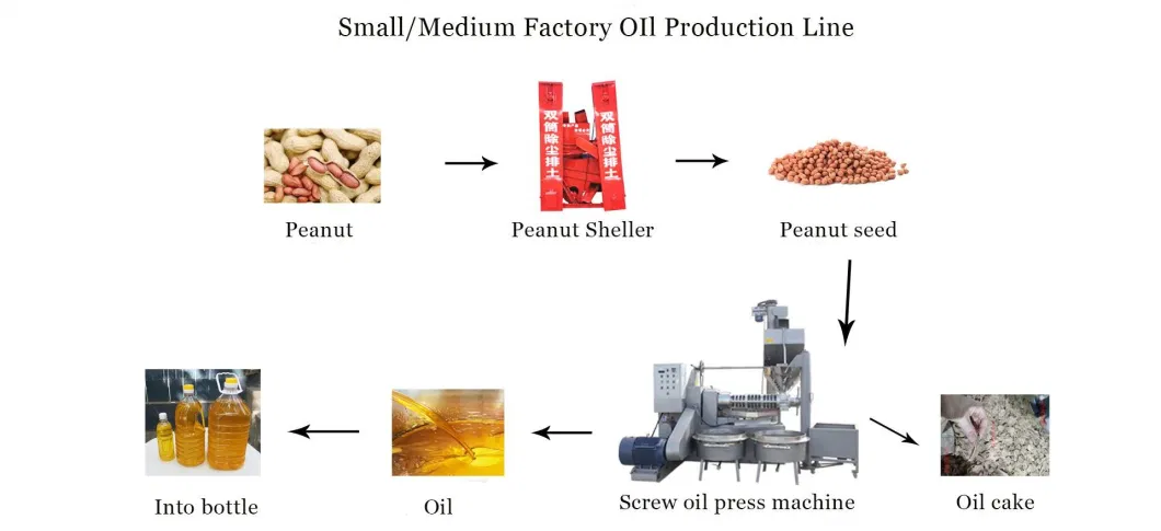 Screw Automatic Oil Extraction Cold Soybean Peanut Sunflower Coconut Castor Cotton Seed Oil Making Machine Oil Press Machine