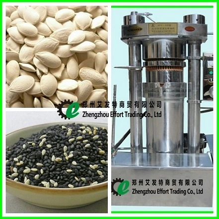 Easy Operation Stainless Steel Hydraulic Cold Oil Press for Sesame/Walnuts/Pine Nuts