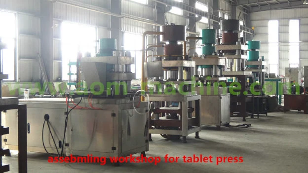 Automatic Animal Licking Block Large Hydraulic Single Punching Large Tablet Press for Calcium Chloride Table