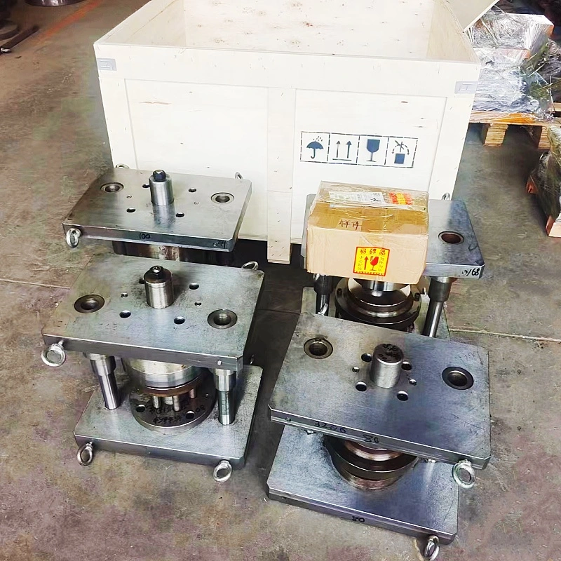 Industrial Continuous Stamping Die with Brake Roller/Caster Accessories