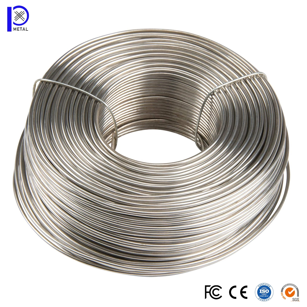 Pengxian 0.2mm Stainless Steel Wire China Manufacturing Stainless Steel Wire 0.02mm 200 Series/300 Series/400 Series Stainless Steel Wire