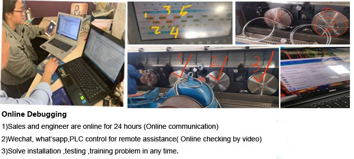 40 Wires High Speed Copper Wire Annealing and Tin-Coating Furnace