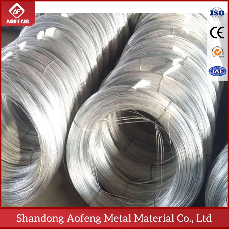 Factory 0.2mm 0.3mm 0.4mm 0.5mm 0.8mm 1.0mm 4.0mm Swg Bwg 8 10 12 16 18 20 Gauge Ss SAE1006/1008 SAE1050/1065 Zinc Coated Stainless Galvanized Steel Wire