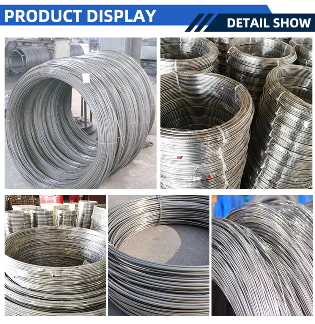 AISI ASTM Ss 304 310S 316 321 Annealing Stainless Steel Wire