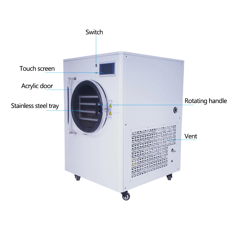 Home Food Freeze Drying Machine Vacuum Freeze Dryer Machine
