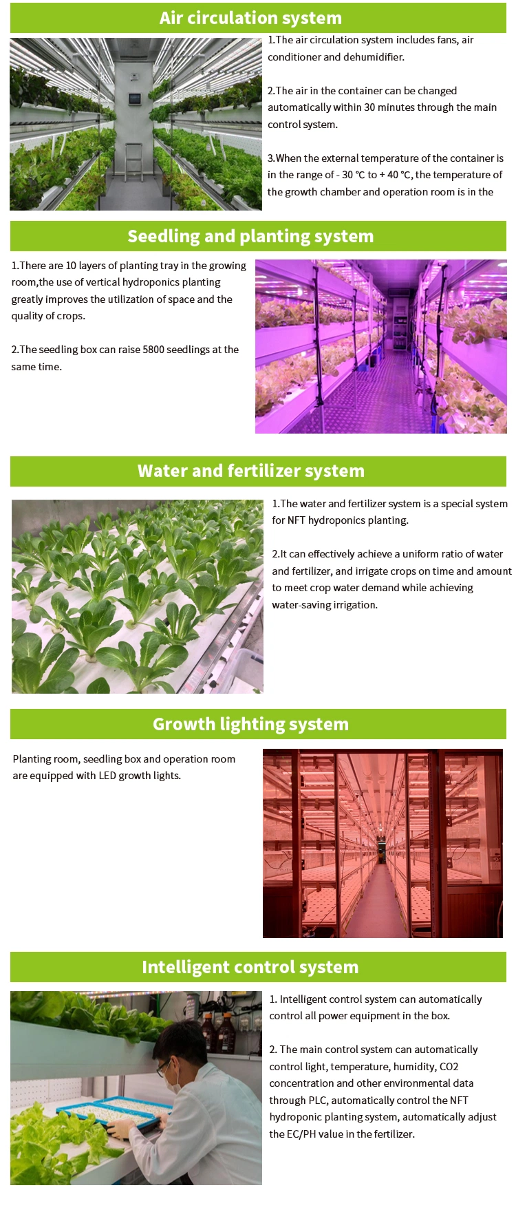 Indoor Vertical Farming Container Farm Hydroponic Greenhouse with Nft Hydroponic System