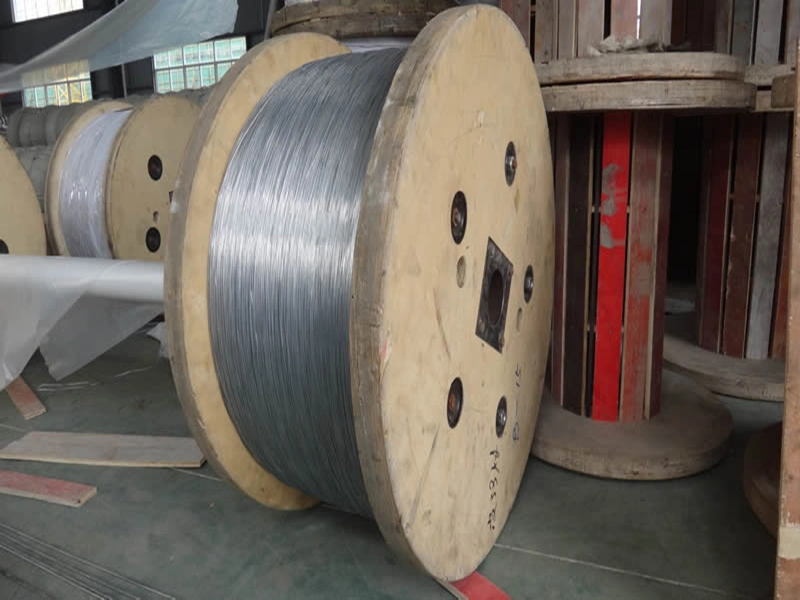 Zinc Coated Low/High Carbon Steel Wire (CZ-W53)