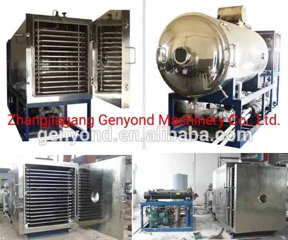 Factory Small Fruit &amp; Vegetable Medicine Pharmaceutical Vacuum Lyophilizer Freeze Drying Equipment Machine Dryer