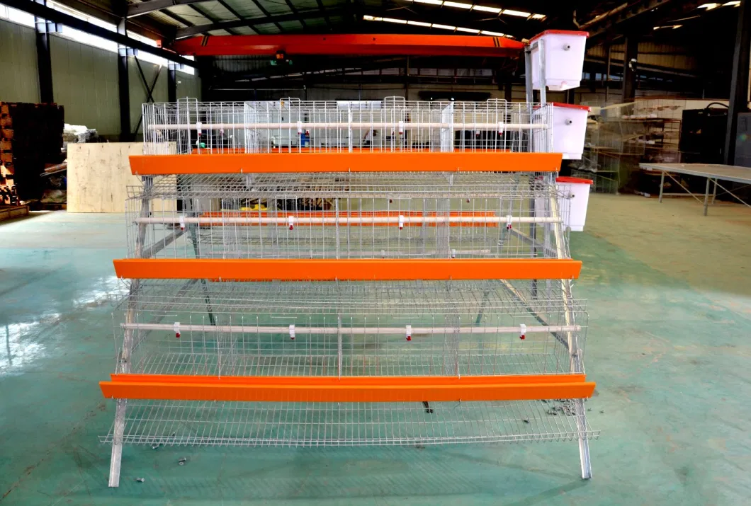 Layer Chicken Cage H Type Tier Galvanized Steel Mesh Wire Door Feeder