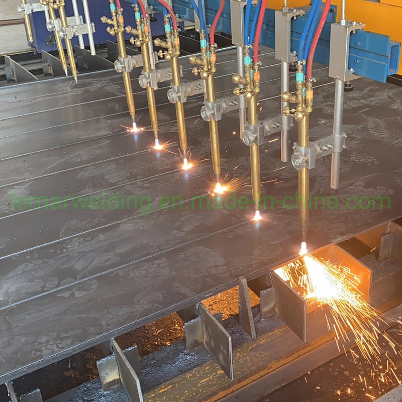 Heavy-Duty Automated Dual Side Drive CNC Plasma Oxygen Metal Cutting Machines