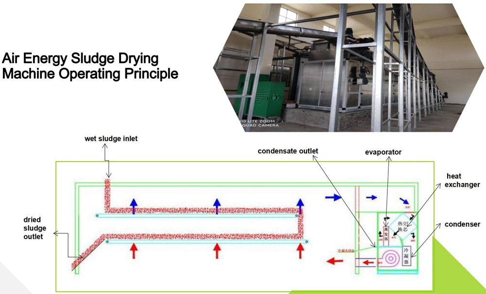 Industrial Belt Type Heat Pump Dewatering Machine Food Waste Sludge Dryer for Municipal and Industrial Sludge Drying